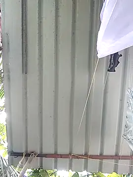 Snapshot of Mafiya1604 chatting on September 27, 4:17 am Mafiya1604 online show from September 27, 4:17 am