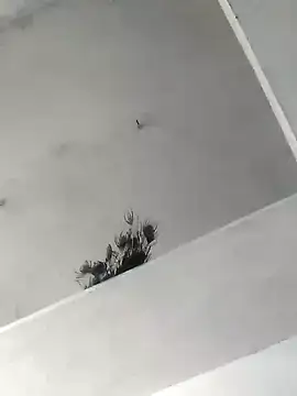 Snapshot of Mafiya1604 chatting on October 22, 5:30 am Mafiya1604 online show from October 22, 5:30 am