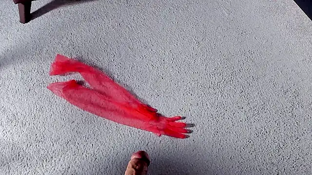 Snapshot of Dorothy_Meyer chatting on March 27, 8:26 am Dorothy Meyer online show from March 27, 8:26 am