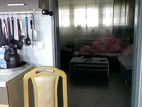 Snapshot of pimmelmann3 chatting on November 15, 11:40 am pimmelmann3 online show from November 15, 11:40 am