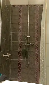 pachapeter online show from January 29, 5:24 pm