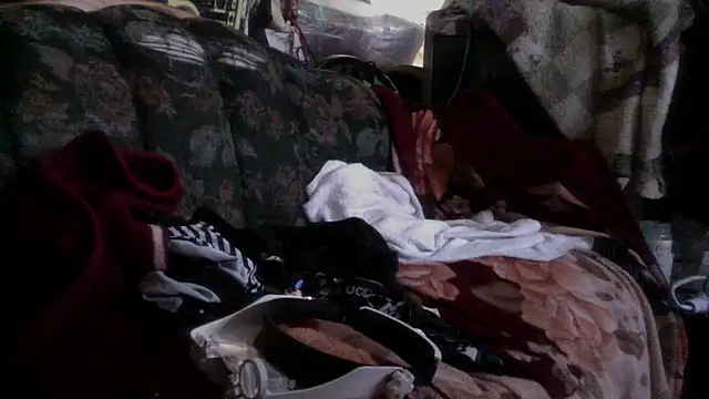 Snapshot of Phelyxx_elgato chatting on December 9, 12:12 am Phelyxx elgato online show from December 9, 12:12 am