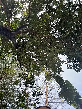 JessiMur online show from February 11, 3:44 am