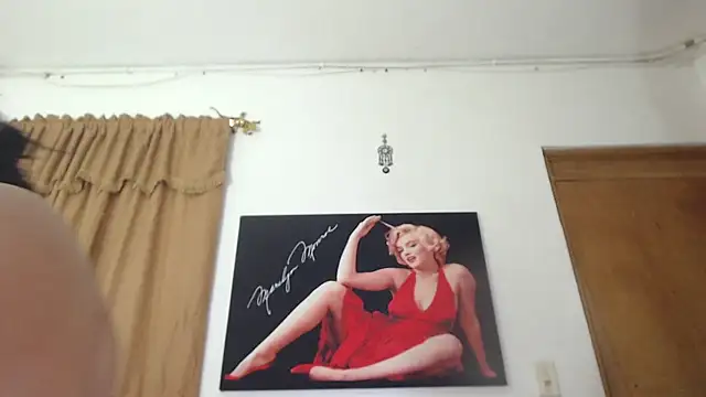 seleneh online show from December 24, 3:49 am