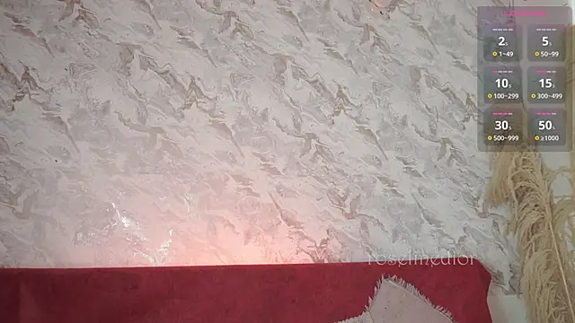 roselinedior online show from November 20, 2:17 pm