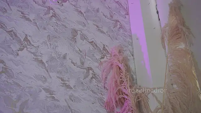 roselinedior online show from December 2, 1:17 pm