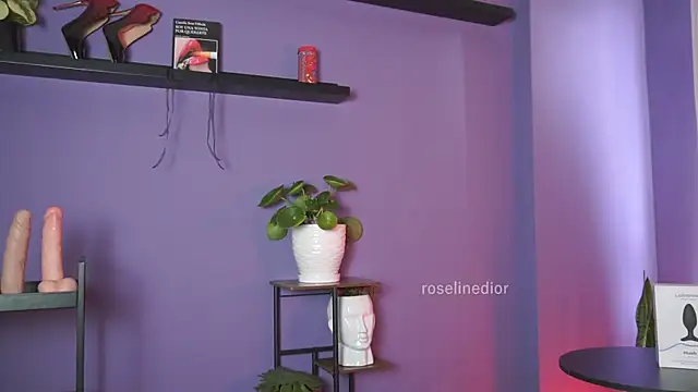 Snapshot of roselinedior chatting on May 19, 2:45 pm roselinedior online show from May 19, 2:45 pm