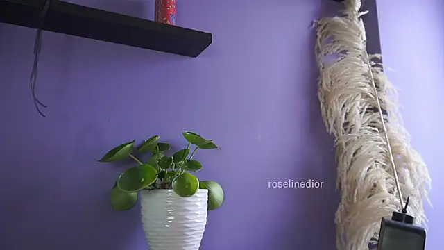 Snapshot of roselinedior chatting on May 20, 4:24 pm roselinedior online show from May 20, 4:24 pm