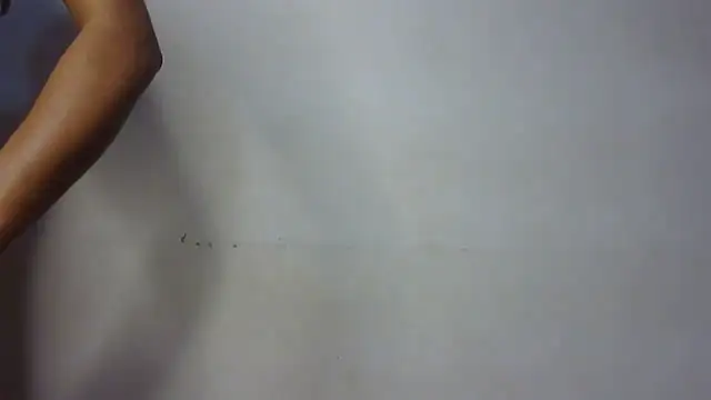 seema raani online show from January 24, 3:34 pm