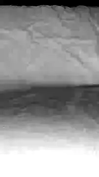 Snapshot of BigAssKi chatting on February 3, 3:06 pm BigAssKi online show from February 3, 3:06 pm