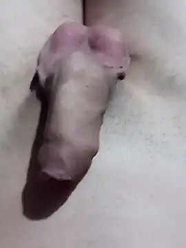 El22 1431 online show from January 17, 4:39 am