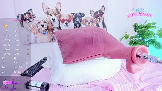 ashley nicoll online show from December 14, 2:00 pm