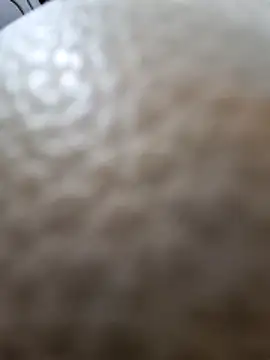 Kamarasa69 online show from December 18, 8:53 am