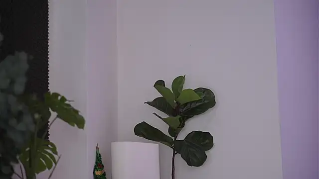 Snapshot of NicoleSarahX chatting on February 7, 11:24 pm NicoleSarahX online show from February 7, 11:24 pm