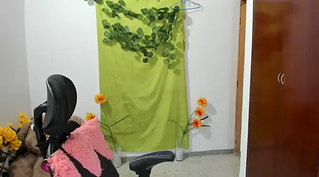 corzoethan online show from January 11, 2:41 am