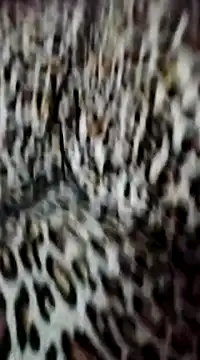 nayakaA7 online show from January 5, 4:06 pm