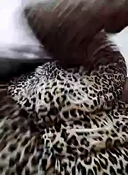 nayakaA7 online show from February 5, 6:59 pm