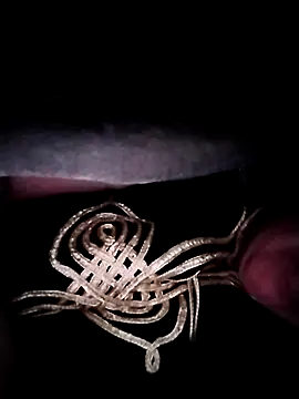 nayakaA7 online show from November 21, 4:44 am