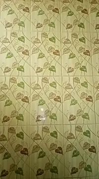 Anusri- online show from February 13, 6:20 am