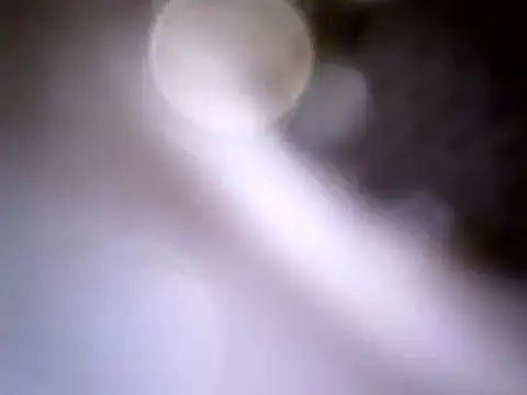 Beijing2000 online show from January 14, 4:04 am