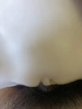 Beijing2000 online show from November 3, 12:13 am