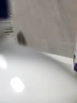 Snapshot of Beijing2000 chatting on March 27, 11:32 am Beijing2000 online show from March 27, 11:32 am