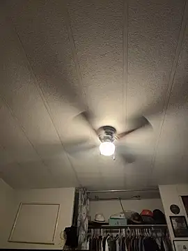 BobbyQ29 online show from February 16, 3:46 am