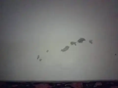 pritty-leila online show from January 2, 2:46 pm