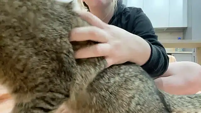 Snapshot of Embersweetbunny chatting on October 2, 4:36 pm Embersweetbunny online show from October 2, 4:36 pm