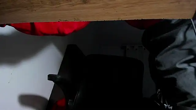 s sven03 online show from December 9, 6:55 am