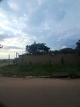 Petrossa online show from November 29, 4:15 am