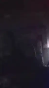 WilldoPita online show from January 21, 6:22 am