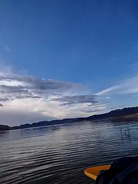 FloppyPickle4u online show from February 13, 3:52 pm