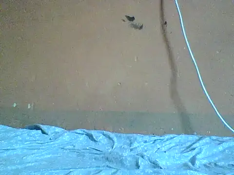 Naivegirrl online show from February 8, 9:45 am