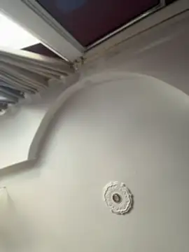 emiss  online show from November 6, 1:23 pm