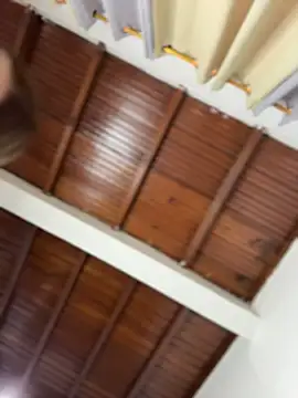 emiss  online show from March 5, 2:24 pm