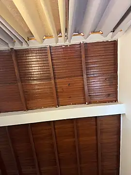 emiss  online show from April 4, 4:04 pm