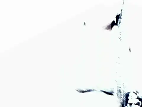 HotJeylee online show from February 4, 12:22 pm