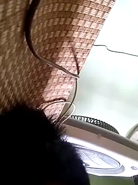 Snapshot of idocudai chatting on April 3, 5:27 am idocudai online show from April 3, 5:27 am