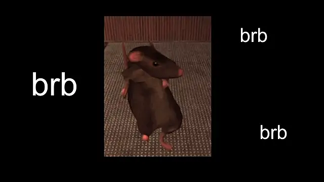 Sam Mystery online show from February 13, 11:06 am