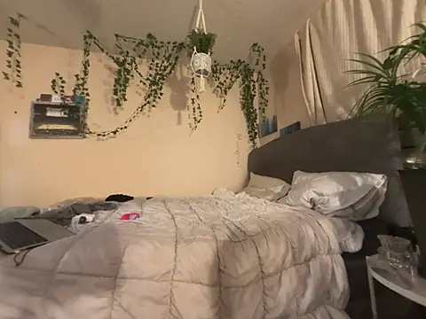 magicalc00ch online show from November 2, 7:00 am