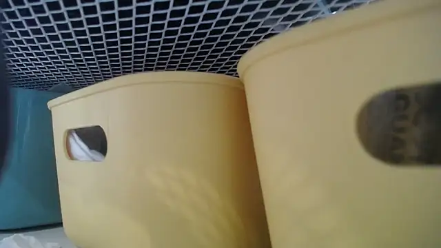 Snapshot of lovense_test04 chatting on February 27, 7:30 am lovense test04 online show from February 27, 7:30 am