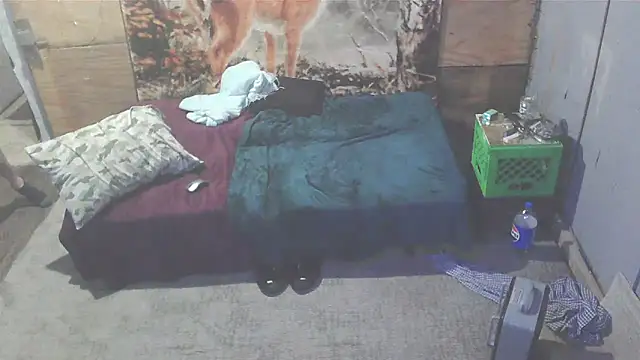 Snapshot of Smurfschmidt chatting on January 7, 3:46 am Smurfschmidt online show from January 7, 3:46 am