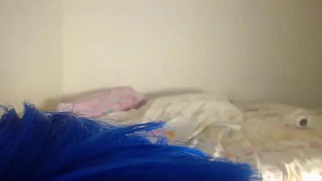 barbara anal squirt  online show from May 16, 12:29 am