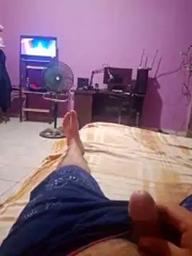 Animal nocturno online show from February 6, 5:56 am