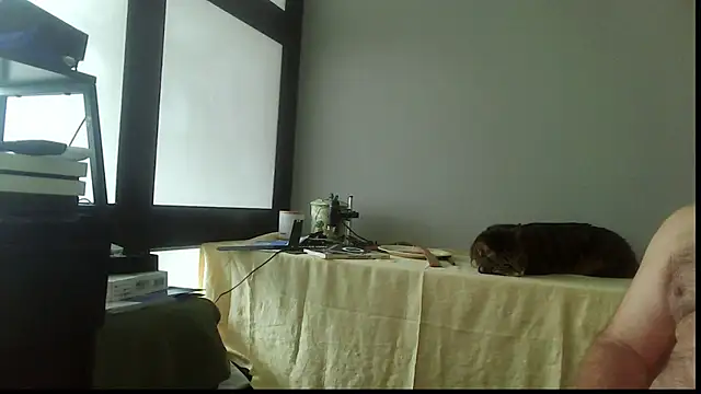 SexWorkerX online show from November 15, 4:25 pm