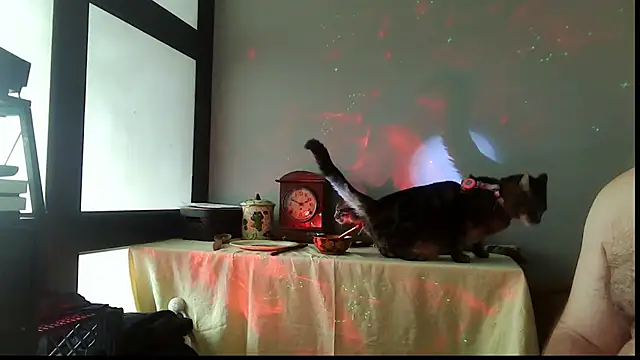 SexWorkerX online show from December 20, 2:46 pm