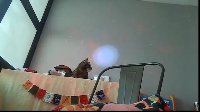 SexWorkerX online show from February 24, 6:50 pm