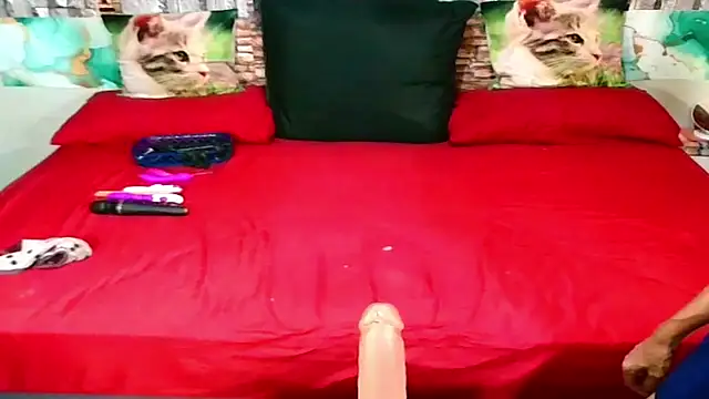 Snapshot of Indian_Blaze00 chatting on January 31, 7:11 pm Indian Blaze00 online show from January 31, 7:11 pm