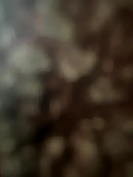 Snapshot of FrutenFratenR9 chatting on November 11, 11:21 am FrutenFratenR9 online show from November 11, 11:21 am